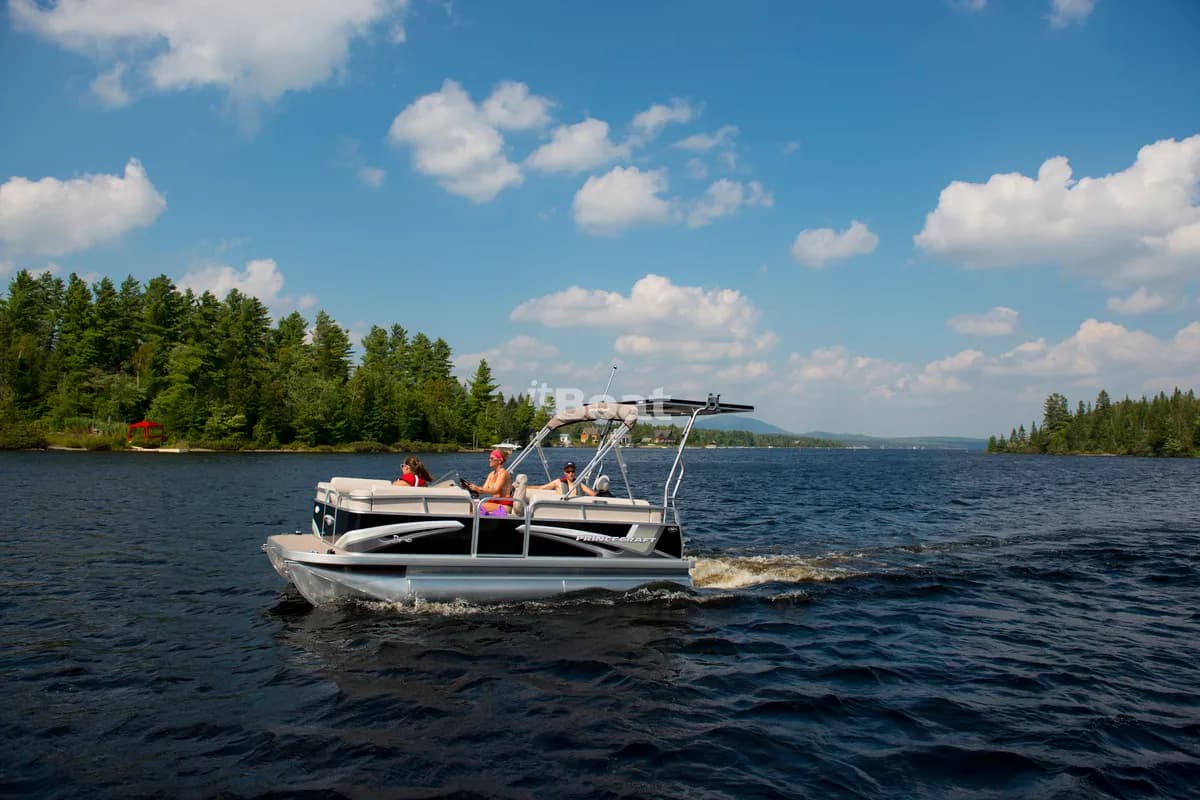 Brio E-17 by Princecraft - Pontoon